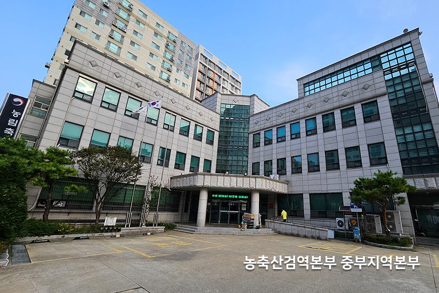 농축산검역본부 창문필름 시공